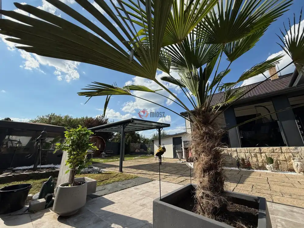 Szabolcs-Szatmár-Bereg megye - Nyíregyháza