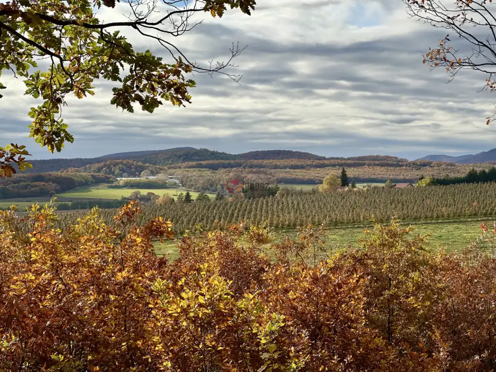 Nógrád megye - Berkenye