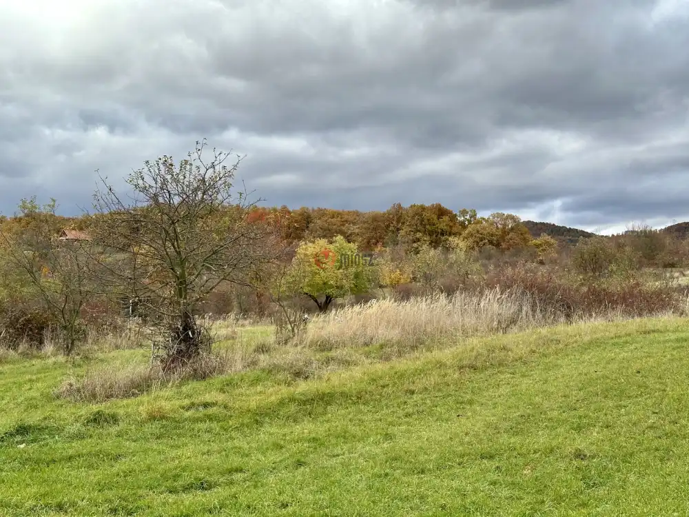 Pest megye - Kóspallag