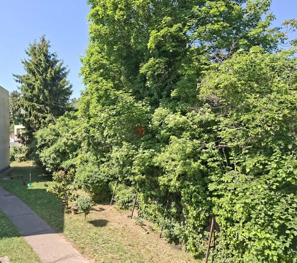 Budapest, XII. kerület - Budakeszierdő